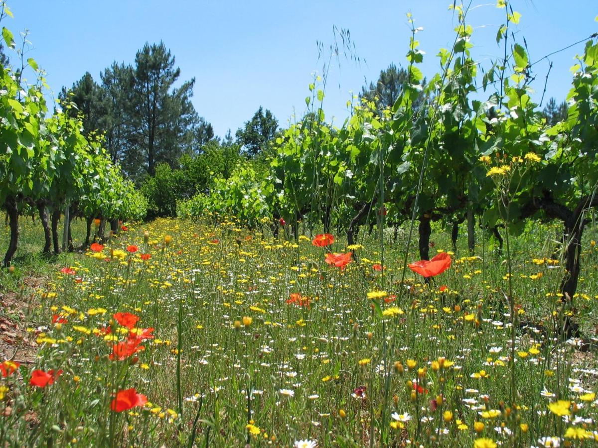Domaine D'augnac Casa vacanze Rosières